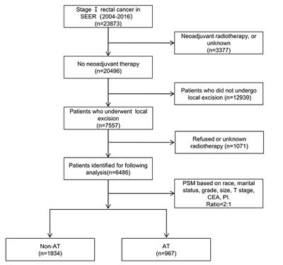 Oncologic Nomogram for Stage I Rectal Cancer to Assist Patient Selection for Adjuvant (Chemo)Radiotherapy Following Local Excision